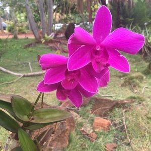 Meet your Posher, Angie